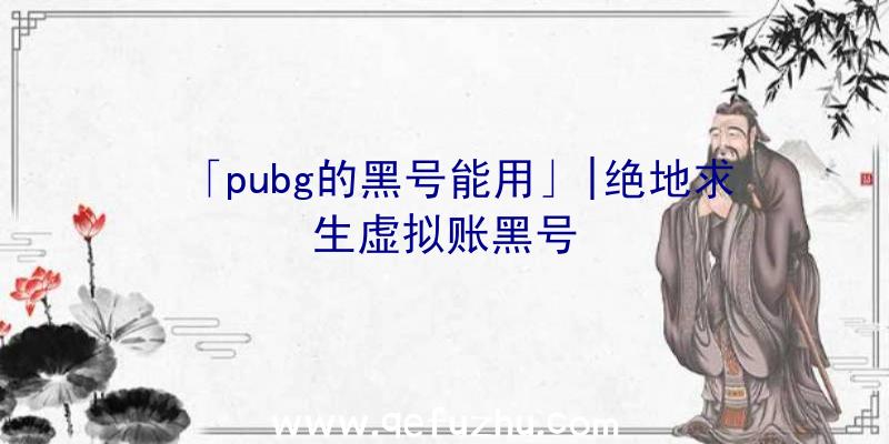 「pubg的黑号能用」|绝地求生虚拟账黑号